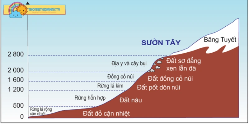 4 biểu hiện cụ thể trong quy luật địa đới