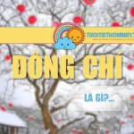 Đông Chí Là Gì? Ý Nghĩa Và Phong Tục Dân Gian Việt Nam