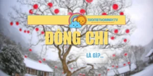 Đông Chí Là Gì? Ý Nghĩa Và Phong Tục Dân Gian Việt Nam