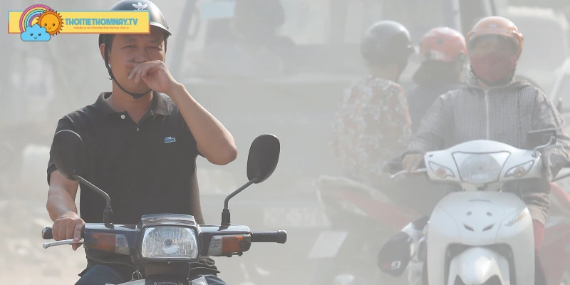 Hậu quả của ô nhiễm không khí với hệ sinh thái tự nhiên