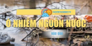 Hậu Quả Ô Nhiễm Nguồn Nước Là Gì? Giải Pháp Khắc Phục