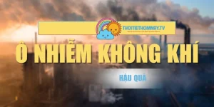 Thực Trạng, Hậu Quả Của Ô Nhiễm Không Khí Tại Việt Nam