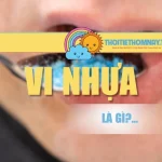 Vi Nhựa Là Gì? Tác Hại Ra Sao Đến Sức Khỏe Và Môi Trường?