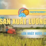 Vùng Sản Xuất Lương Thực Lớn Nhất Nước Ta | Góc Nhìn Từ A-Z