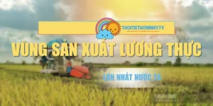 Vùng Sản Xuất Lương Thực Lớn Nhất Nước Ta | Góc Nhìn Từ A-Z