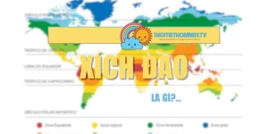 Xích Đạo Là Gì? Giải Mã Bí Ẩn Xoay Quanh Đường Xích Đạo