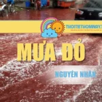 Mưa Đỏ – Nguyên Nhân Và Những Tác Động Đến Đời Sống