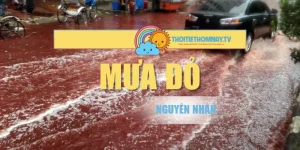 Mưa Đỏ – Nguyên Nhân Và Những Tác Động Đến Đời Sống