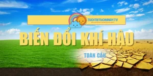 Biến Đổi Khí Hậu Toàn Cầu – Mối Đe Dọa Tăng Nhanh Hiện Nay