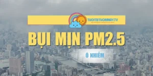 Bụi Mịn PM2.5 – Sự Thật Gây Sốc Về Ô Nhiễm Đô Thị Việt Nam
