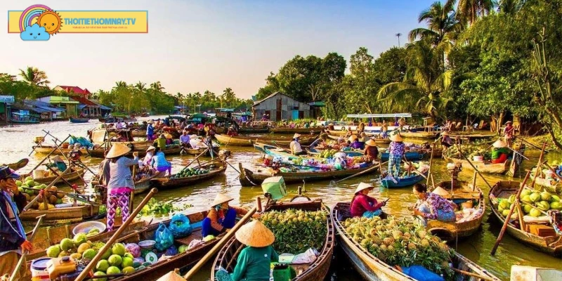 Đặc điểm khí hậu và địa hình của tỉnh Vĩnh Long