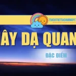 Mây Dạ Quang Và Thông Tin Thú Vị Về Hiện Tượng