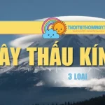 Giới Thiệu Mây Thấu Kính Và 3 Loại Phổ Biến, Thường Gặp