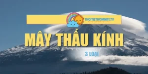 Giới Thiệu Mây Thấu Kính Và 3 Loại Phổ Biến, Thường Gặp