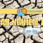 Hạn Hán Nghiêm Trọng Và Hậu Quả Lên Đời Sống Người Dân