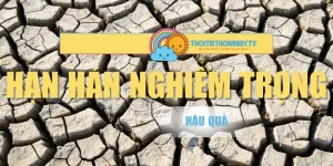 Hạn Hán Nghiêm Trọng Và Hậu Quả Lên Đời Sống Người Dân