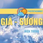 Băng Giá Sương Muối – Hiện Tượng Hình Thành Trong Mùa Đông