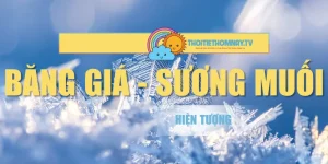 Băng Giá Sương Muối – Hiện Tượng Hình Thành Trong Mùa Đông