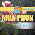 Hiện Tượng Mưa Phùn Vì Sao Có? Lý Giải Chi Tiết Nhất