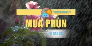 Hiện Tượng Mưa Phùn Vì Sao Có? Lý Giải Chi Tiết Nhất
