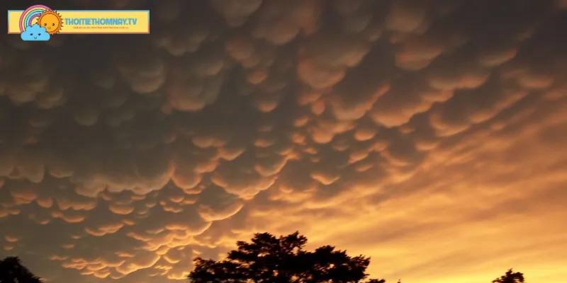 Mây mammatus xuất hiện không phải là dấu hiệu thiên tai