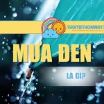 Mưa Đen Là Gì? Nguyên Nhân Và 3 Trận Mưa Bí Ẩn Trên Thế Giới