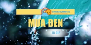 Mưa Đen Là Gì? Nguyên Nhân Và 3 Trận Mưa Bí Ẩn Trên Thế Giới