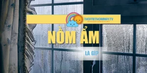 Nồm Ẩm Là Gì? Giải Thích Ý Nghĩa Và Ảnh Hưởng Đến Sức Khỏe