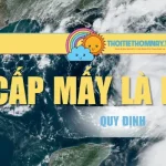Bão Cấp Mấy Là Mạnh? Mức Độ Nguy Hiểm Thế Nào?