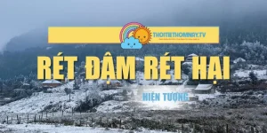 Rét Đậm Rét Hại – Điều Cần Biết Về Hiện Tượng Thiên Nhiên