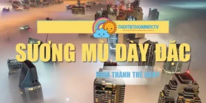 Sương Mù Dày Đặc Hình Thành Thế Nào? Giải Đáp Chi Tiết