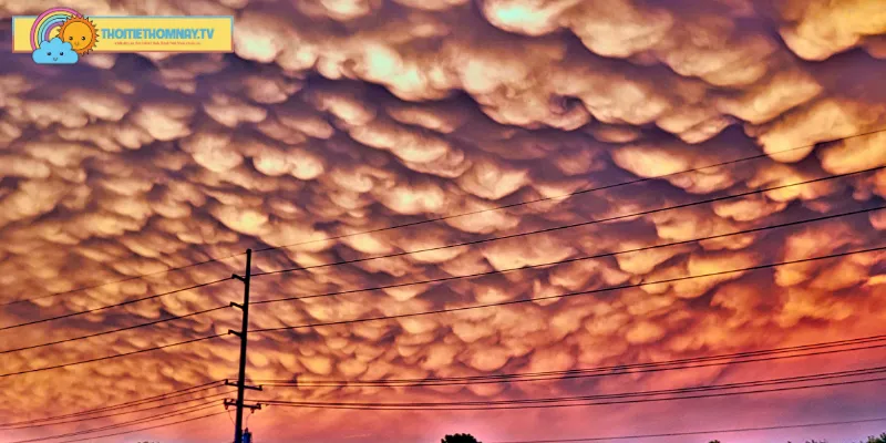Tìm hiểu về những điểm nhận dạng của mây mammatus