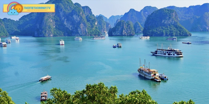 Tổng quan về vị trí và khí hậu Hải Phòng