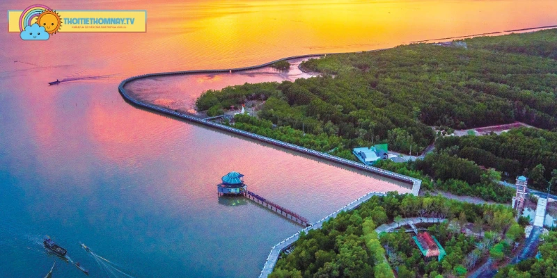 Tổng quan vị trí địa lý Cà Mau