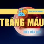 Trăng Máu – Nguyệt Thực Toàn Phần Và Những Điều Cần Biết