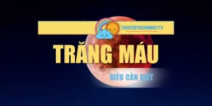 Trăng Máu – Nguyệt Thực Toàn Phần Và Những Điều Cần Biết