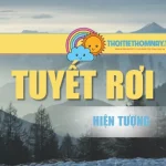 Tuyết Rơi – Sự Kỳ Diệu Của Hiện Tượng Thiên Nhiên Mùa Đông