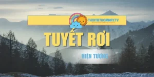 Tuyết Rơi – Sự Kỳ Diệu Của Hiện Tượng Thiên Nhiên Mùa Đông