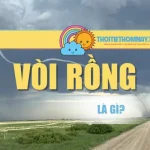 Vòi Rồng Là Gì? Hiện Tượng Thời Tiết Nguy Hiểm Cần Biết