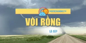 Vòi Rồng Là Gì? Hiện Tượng Thời Tiết Nguy Hiểm Cần Biết