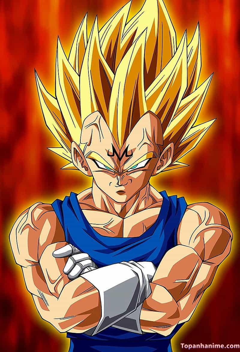 Mẫu Ảnh Vegeta 2