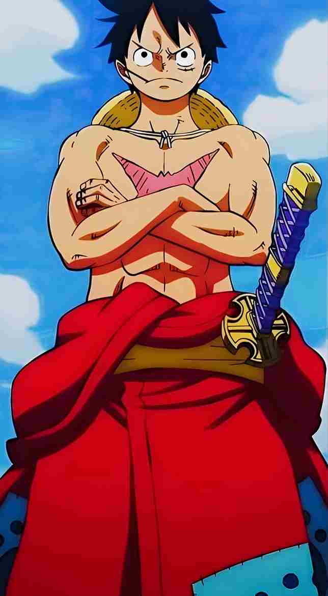 Hình Luffy 6