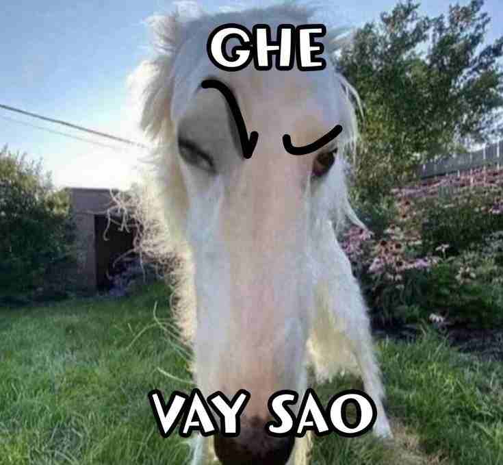 Ảnh Meme 2