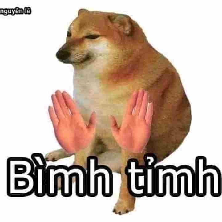 Ảnh meme bựa 14