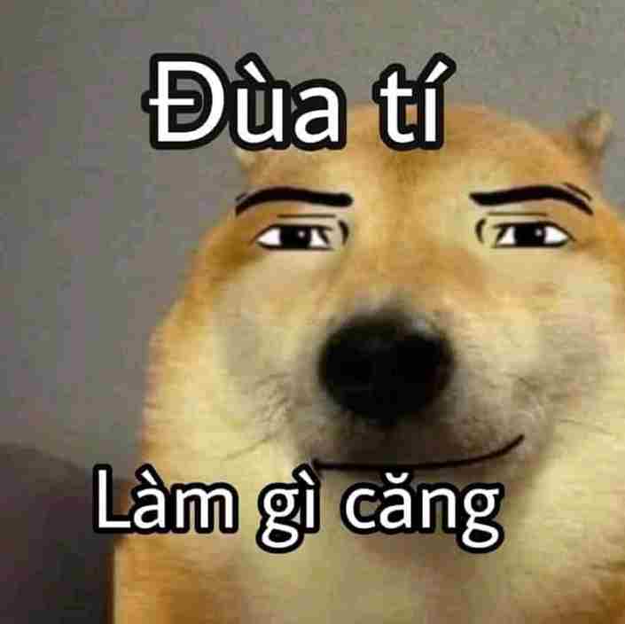 Ảnh meme bựa 8