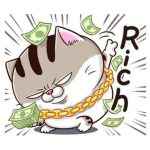 99+ Ảnh Mèo Bựa Cute: Khoảnh Khắc Khó Đỡ Khiến Bạn Cười Không Ngớt