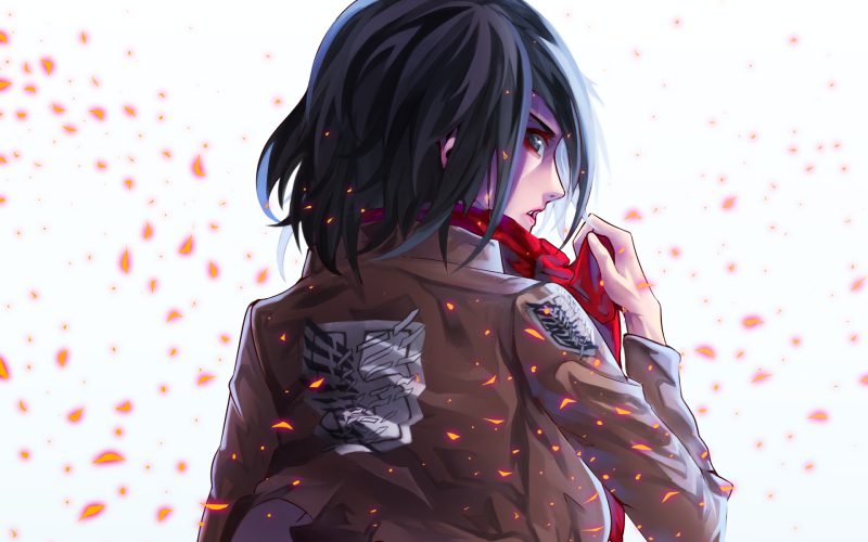 ảnh Mikasa 29