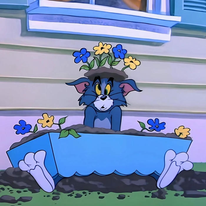 avatar vô tri 21