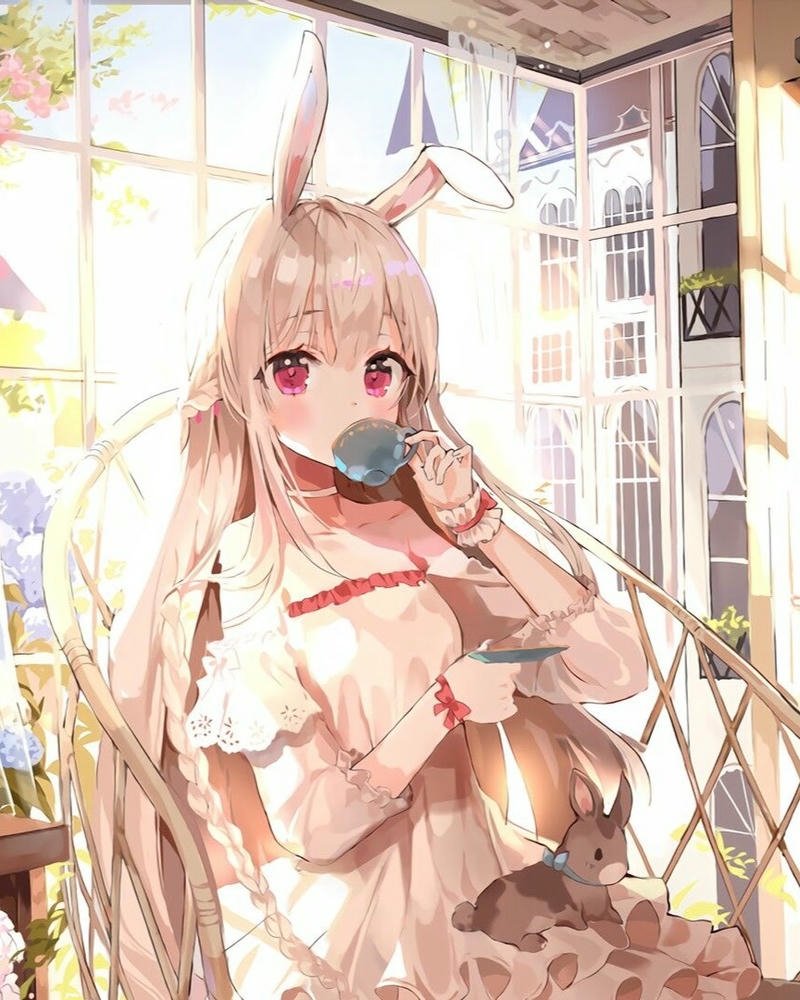 thỏ anime 26