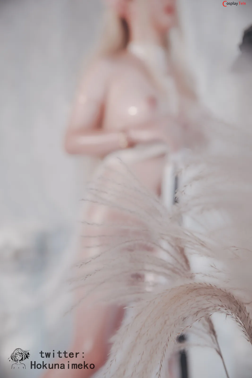 Hokunaimeko cosplay Celestine Lucullus 22
